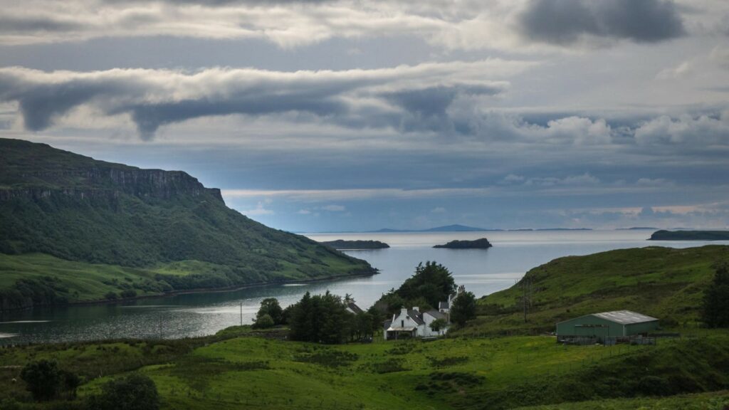 Scottish seaweed business secures six-figure investment to scale up island supply chain